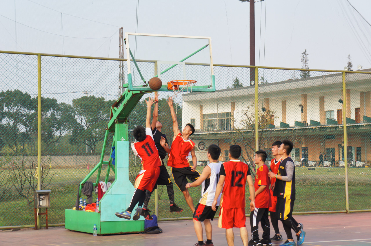 DSC04216.jpg