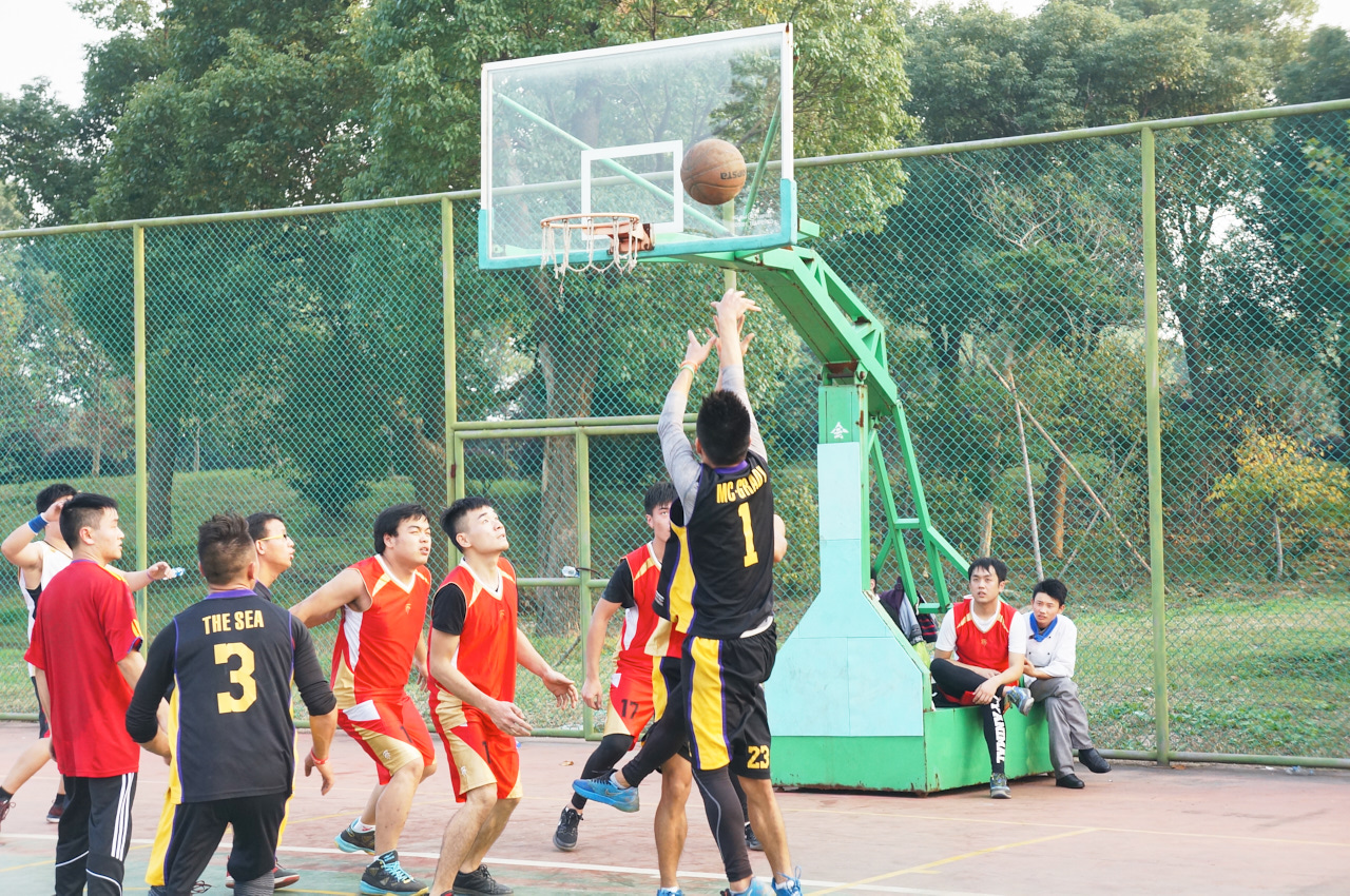 DSC04237.jpg